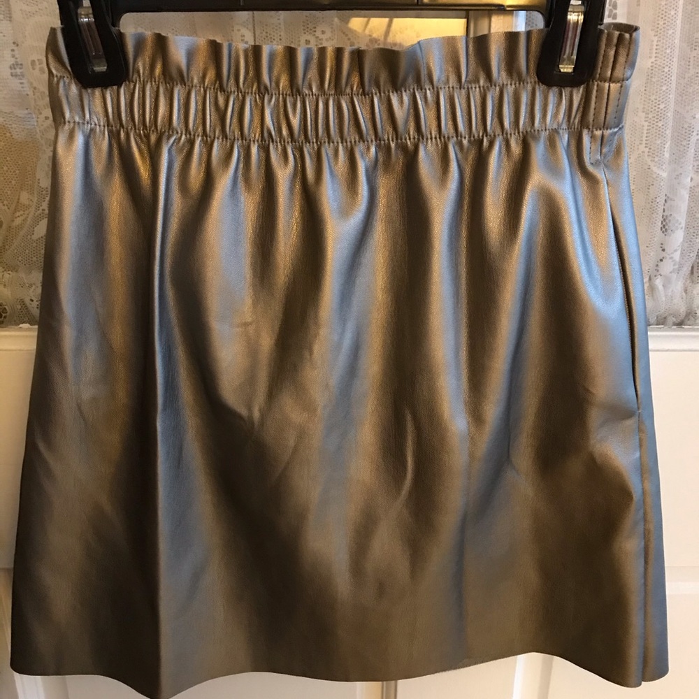 Zara Skirt